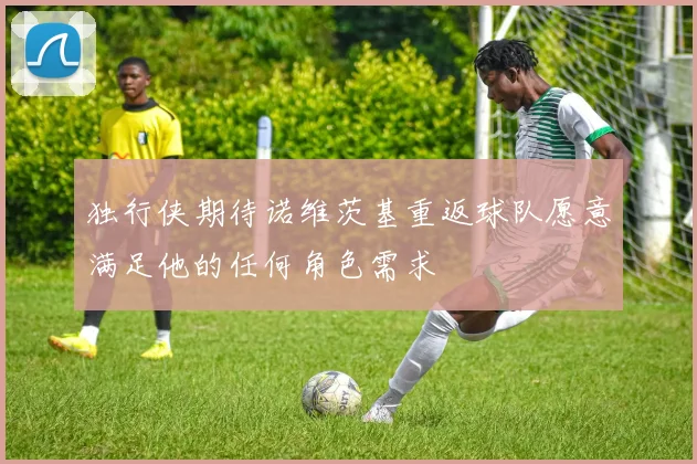 独行侠期待诺维茨基重返球队愿意满足他的任何角色需求