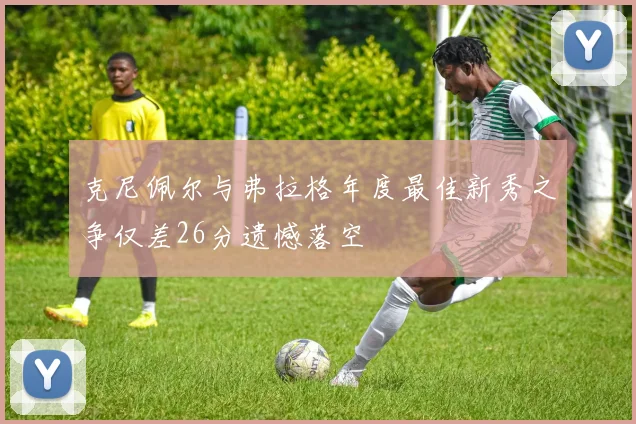 克尼佩尔与弗拉格年度最佳新秀之争仅差26分遗憾落空